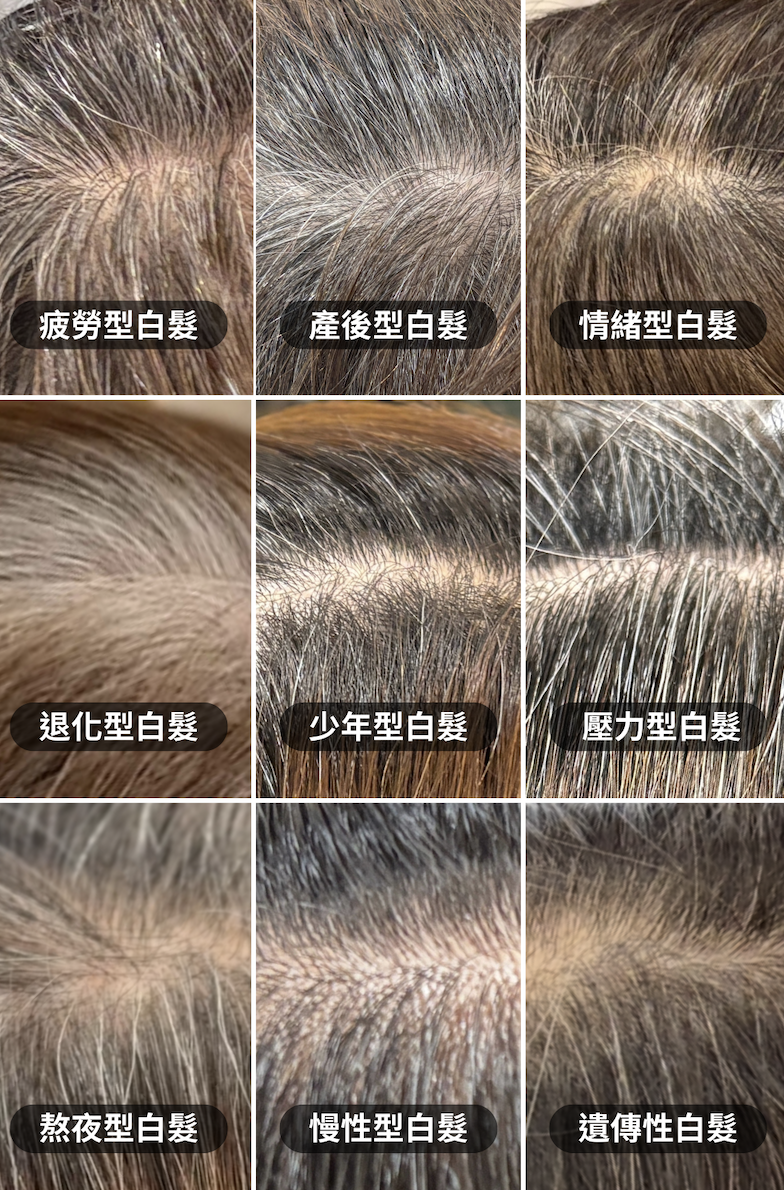 ALL_news_26A20_zi4zWrpLHV ALL_news_26A20_zi4zWrpLHV