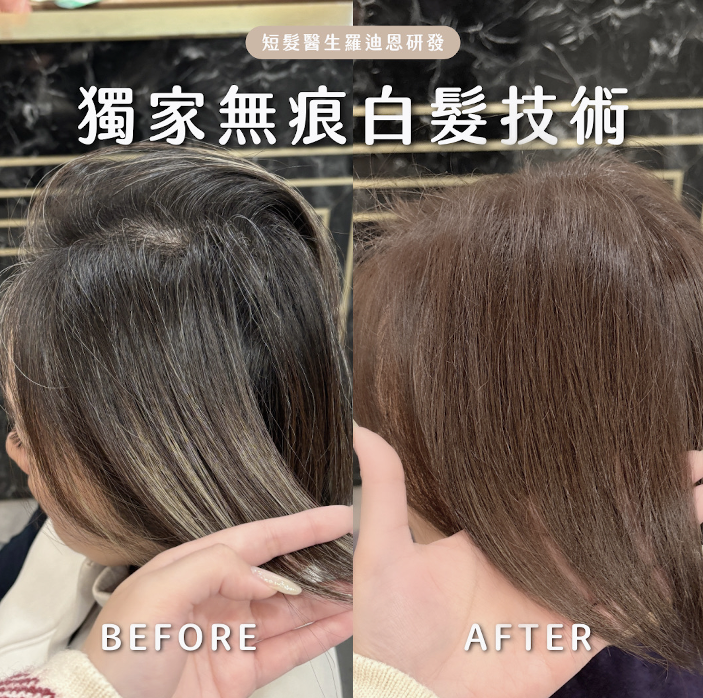 ALL_news_26B27_6X71xlWAun