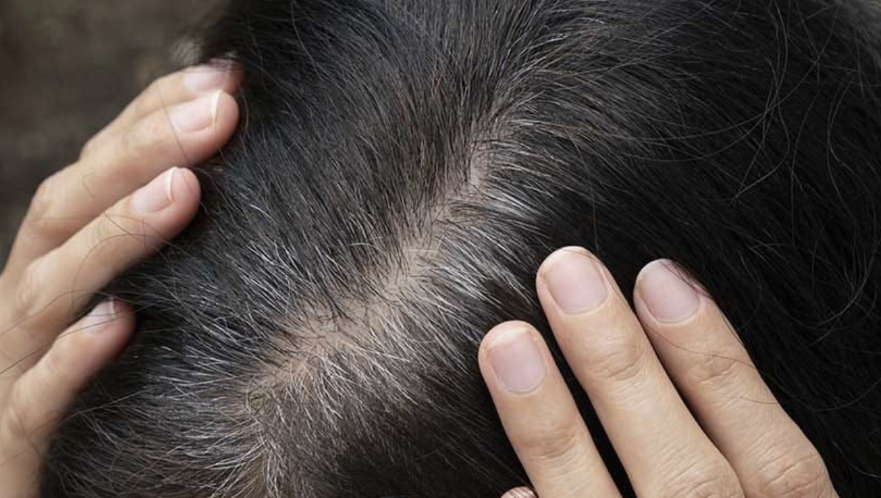 ALL_news_26C18_M9ZRqIPyrj ALL_news_26C18_M9ZRqIPyrj