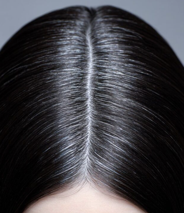 ALL_news_26C18_OEj54B9mDX ALL_news_26C18_OEj54B9mDX