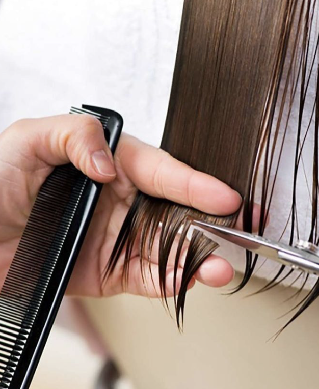 ALL_news_26D11_EZHWqzp7iE